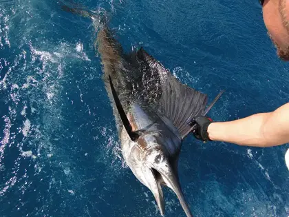 Foto-17-10-2022-15-26-25